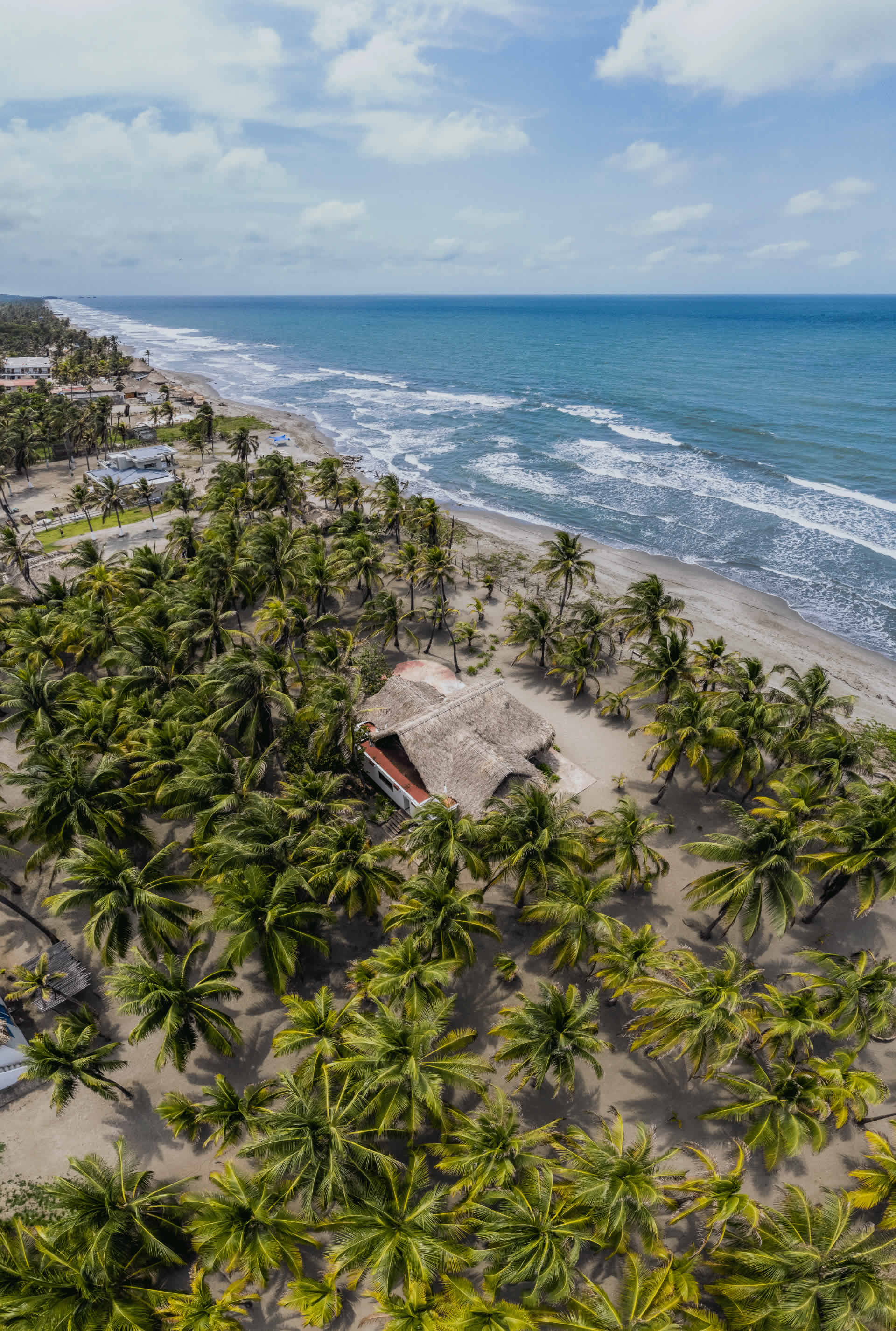 fondo-el-pais-de-la-belleza-marca-pais-procolombia