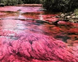 caño cristales