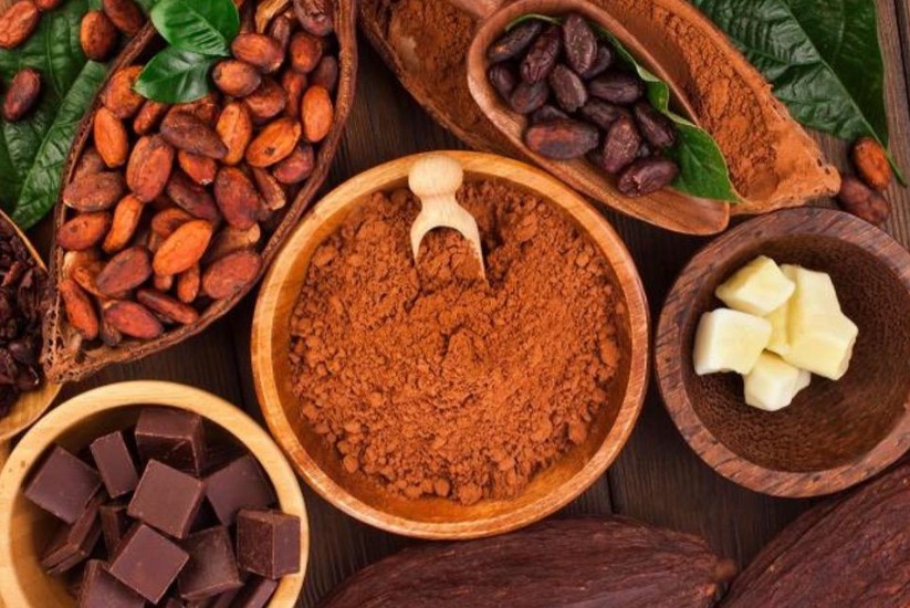 Derivados del cacao