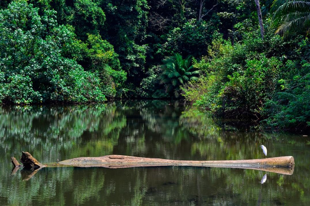 Utria, Colombia, Parques Naturales, ecoturismo, Colombia, ecoturismo en colombia