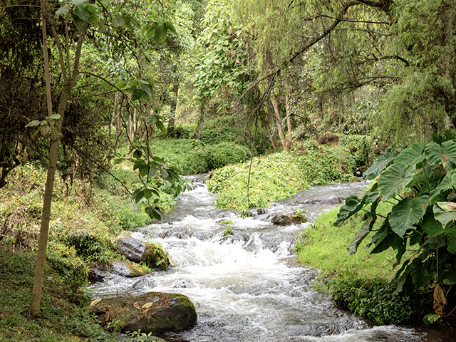 Río Neusa en Cogua, Cundinamarca, Colombia.