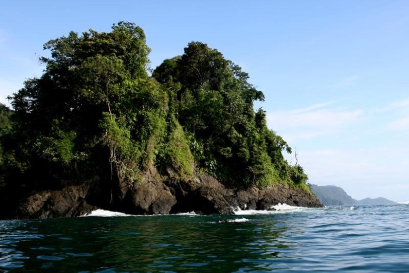 Parque Nacional, Utría