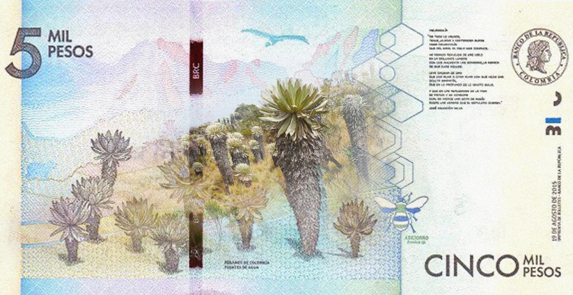 Billete de cinco mil pesos.