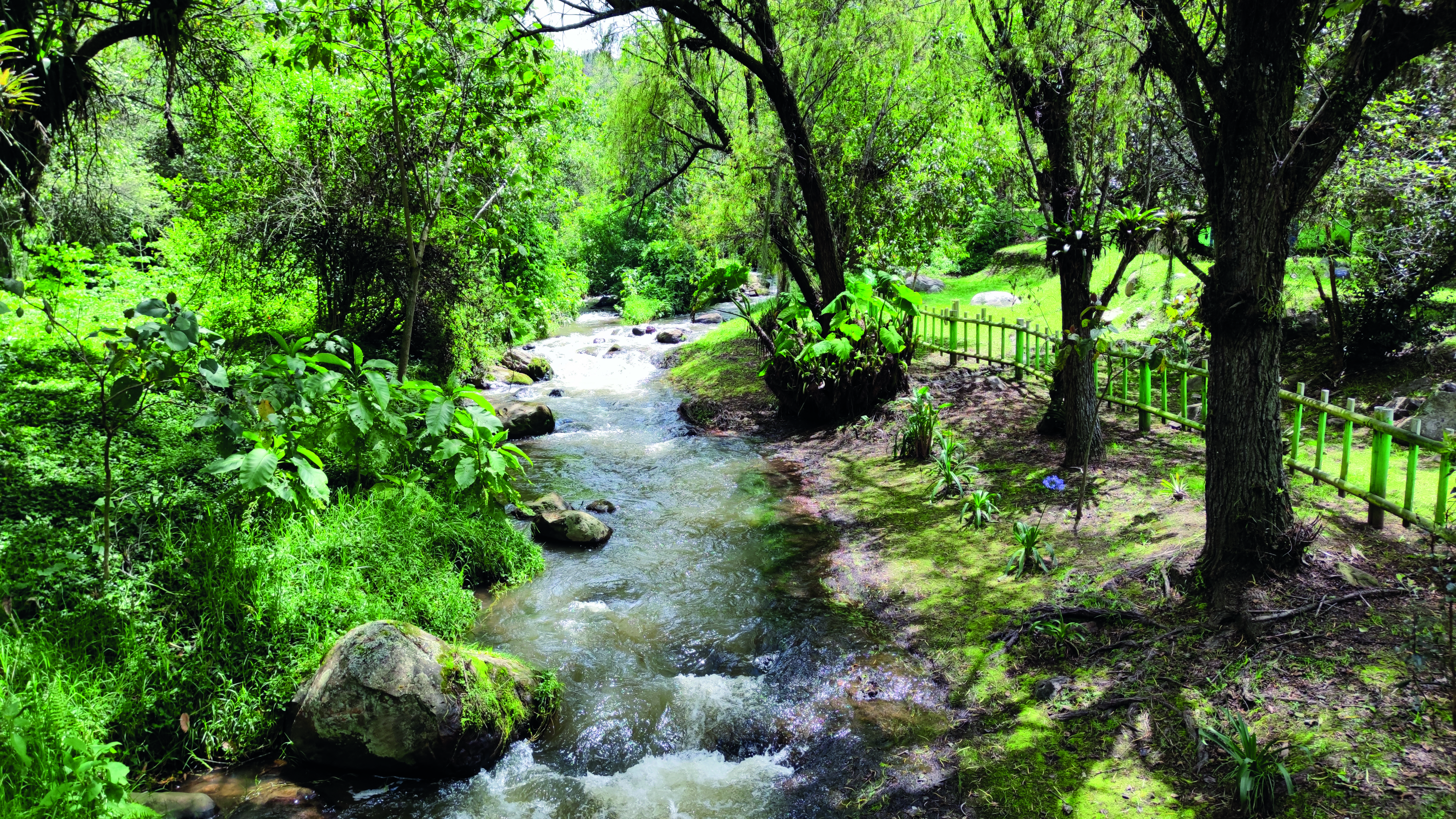 Río Neusa, Cundinamarca. Foto cortesía Parques CAR