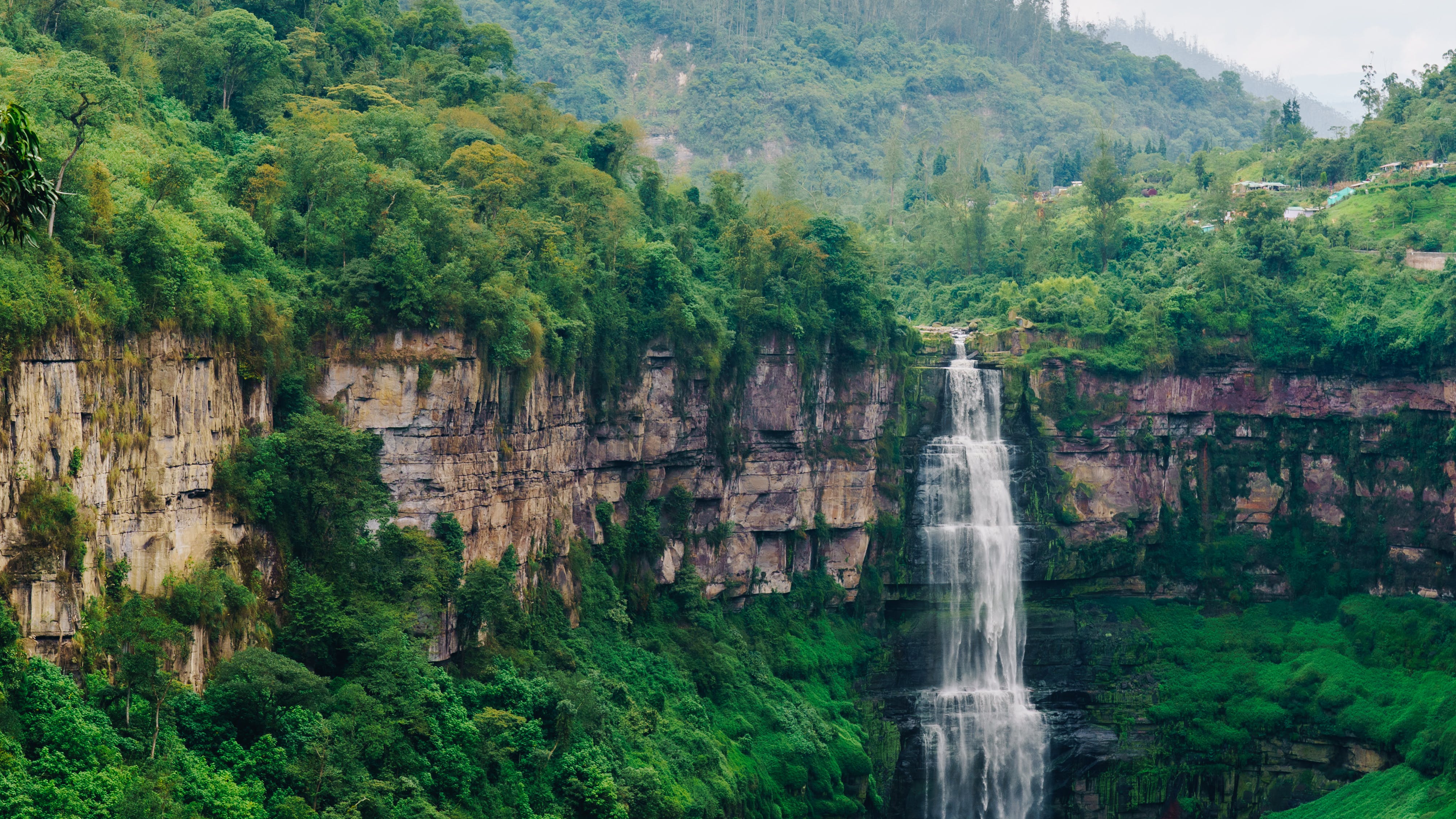 Foto de juan rojas: https://www.pexels.com/es-es/foto/naturaleza-campo-medio-ambiente-rural-6708680/