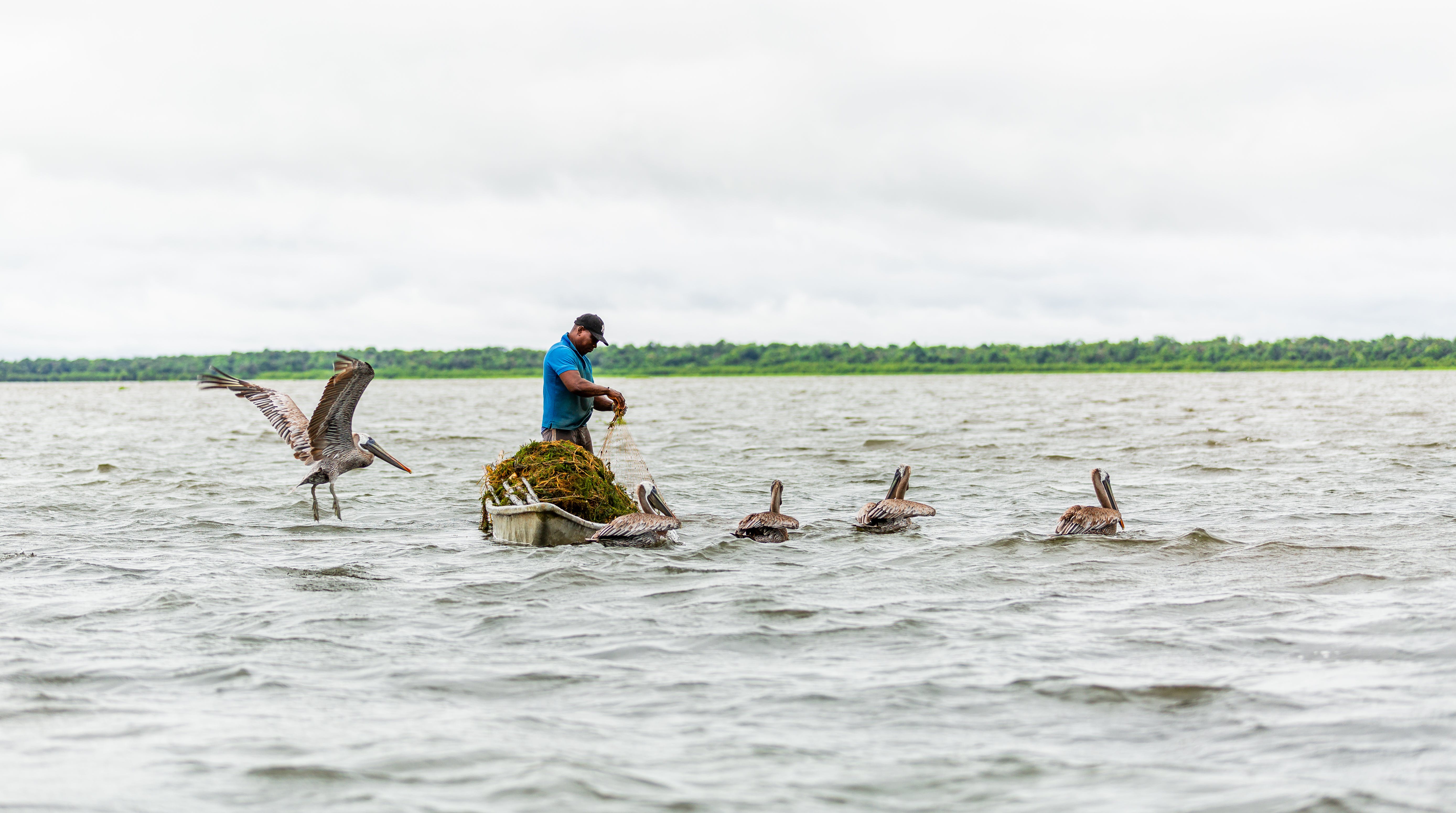 Foto de Juan Sebastián González R.: https://www.pexels.com/es-es/foto/la-pesca-en-la-cienaga-13806162/