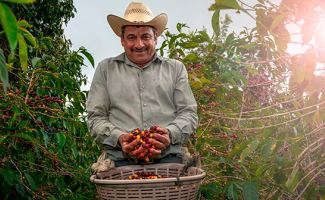 A Coffee picker selects only the best beans. Discover why Colombian Coffee is the greatest in the world Colombia Country Brand