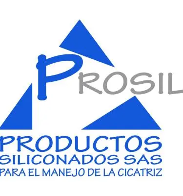 Prosil productos siliconados SAS