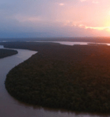 Amazonas