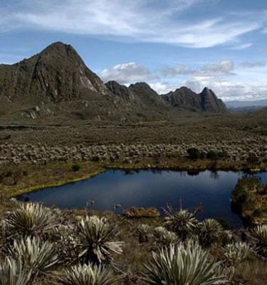 Paramos-Colombia-Sumapaz